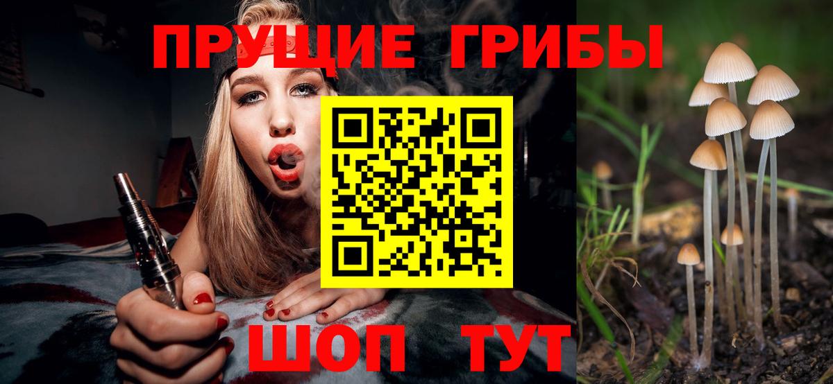 Галлюциногенные грибы Magic Shrooms  Вход с VPN  Галлюциногенные грибы ЛСД  Новокубанск 