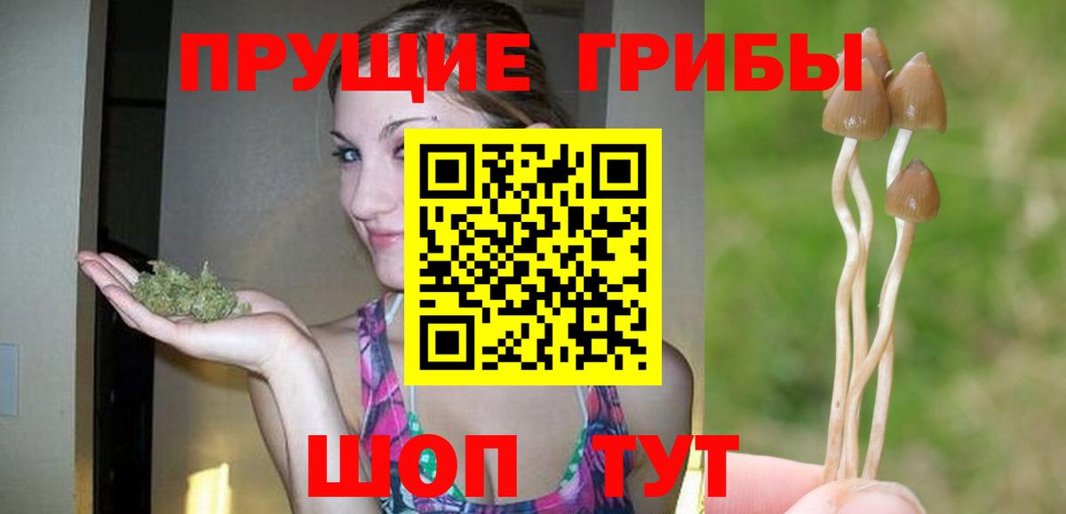 Галлюциногенные грибы Magic Shrooms Новокубанск